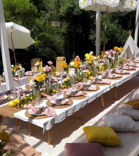 Luxury Picnics Auckland Pink Lemon Theme